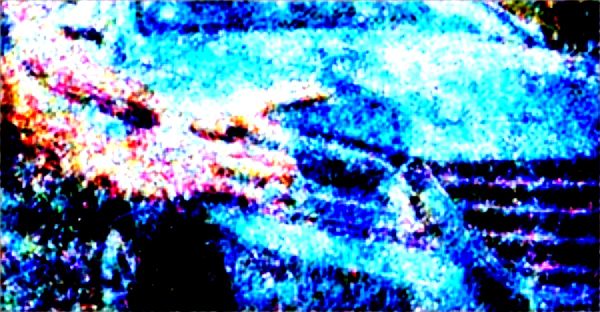 Tout ce qu'il faut savoir sur le covering de voiture